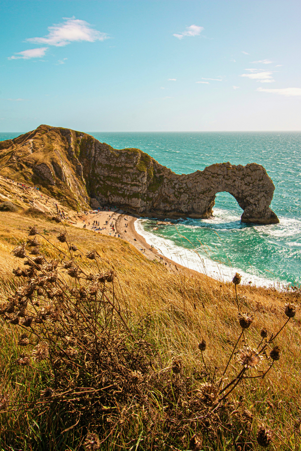 Dorset