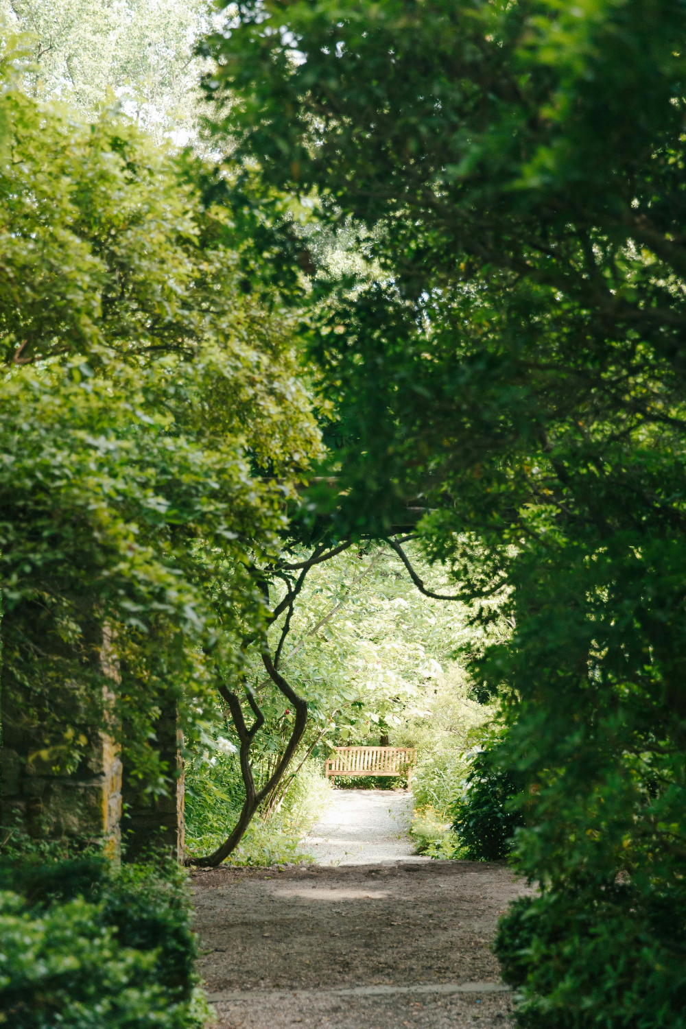 Surrey